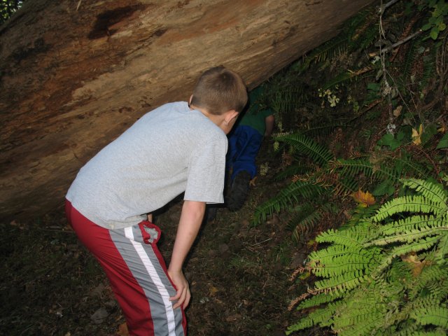 10.21.06 Wauna Viewpoint 023 